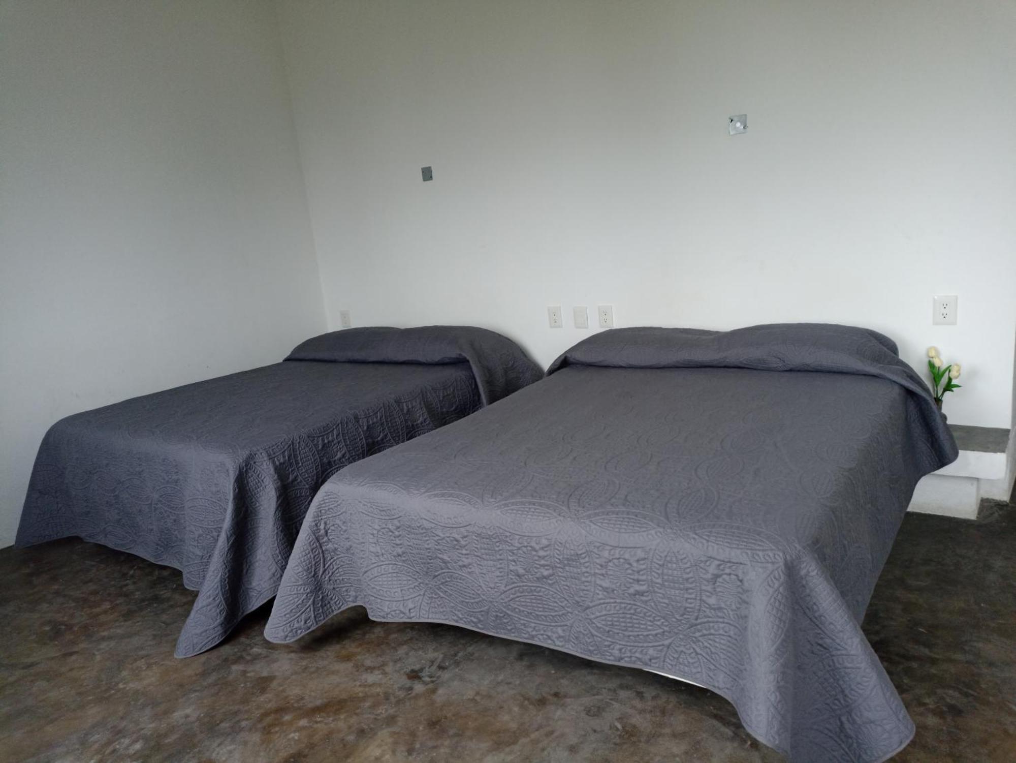 Hotel Don Pedrillo Oaxaca Zewnętrze zdjęcie