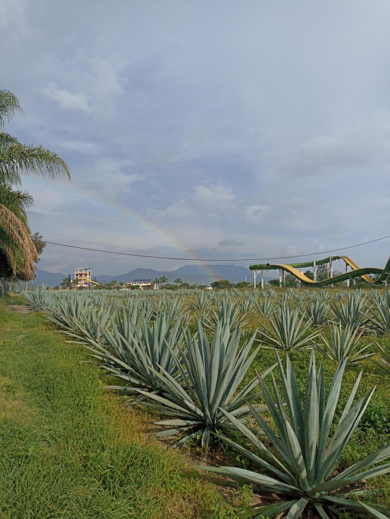 Hotel Don Pedrillo Oaxaca Zewnętrze zdjęcie